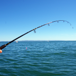 fishing for leads