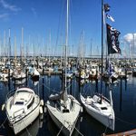Sell more boats with website live chat and text