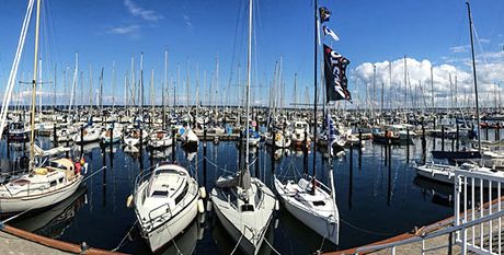 Sell more boats with website live chat and text