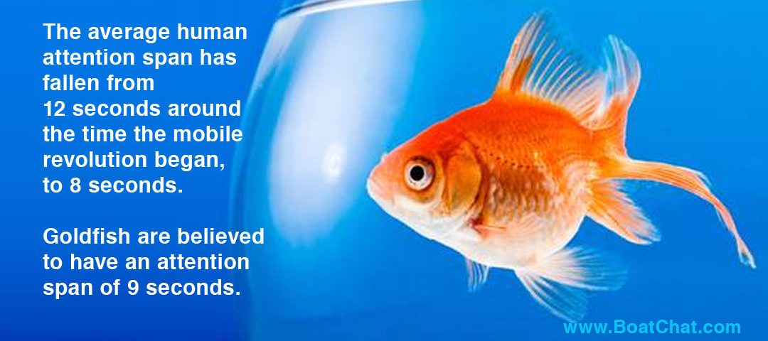 Online shoppers and the goldfish attention span