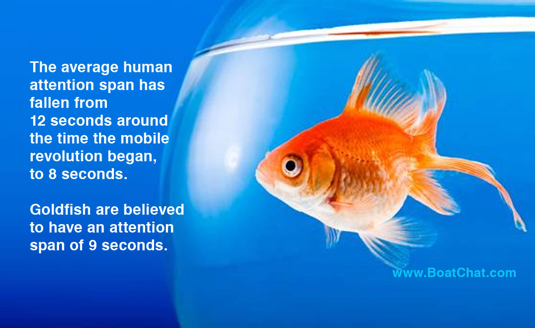 Online shoppers and the goldfish attention span